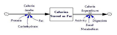 Calorie Model 2