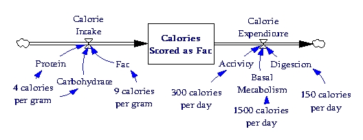 Calorie Model 3